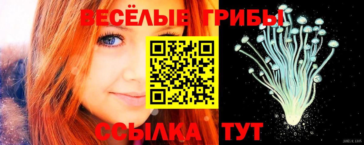 Кимры  Псилоцибиновые грибы Psilocybine cubensis  Вход с VPN 